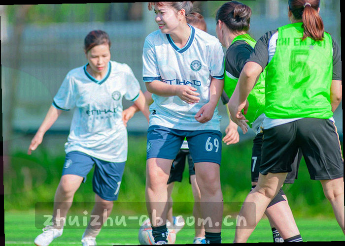 日历导出和收藏图标的动态组合图